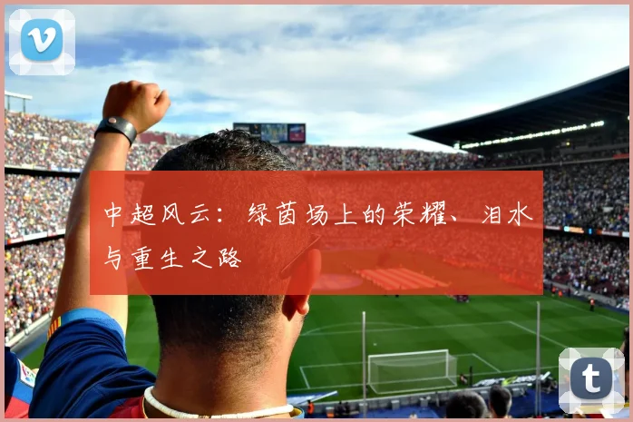 中超风云：绿茵场上的荣耀、泪水与重生之路